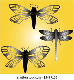 insects bee butterfly dragonfly