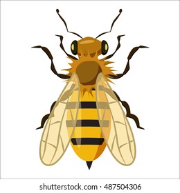 Insects bee icon in cartoon style isolated on white background. Fauna symbol vector illustration