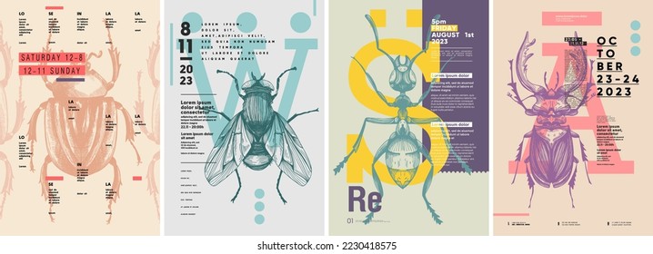 Insectos. Escarabajo, mosca, hormiga, escarabajo. Diseño de afiches. Conjunto de ilustraciones vectoriales. Tipografía. Esbozo de lápiz de época. Estilo de grabado. Etiquetas, cubierta, estampado de camisetas, pintura.