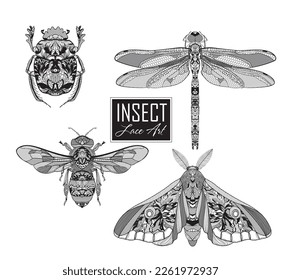 Insekten. Käfer, Motte, Libelle, Biene. Vektorgrafik.
