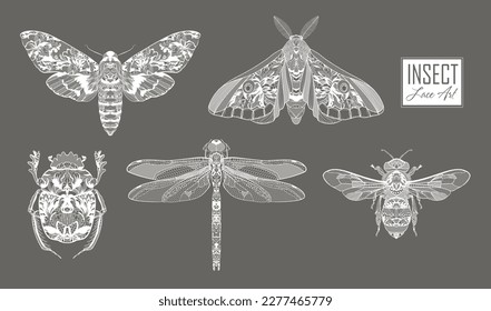 insects. beetle, moth, dragonfly, bee. Vector illustration.