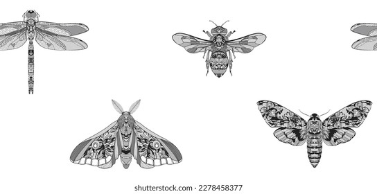 Insects. Beetle, moth, dragonfly, bee. Vector illustration. Seamless lace pattern