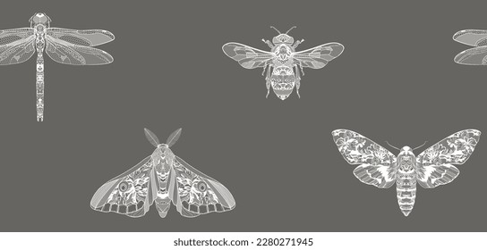 Insects. Beetle, moth, dragonfly, bee. Vector illustration. Seamless lace pattern