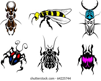 insects and beetles