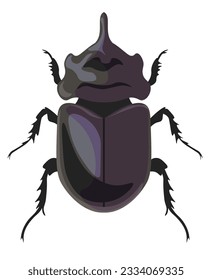 Insects and beetles from wilderness and nature, isolated bug Rhinoceros dynastinae. Wildlife and zoology, animals and creatures with legs and horn, body and wings. Vector in flat style illustration
