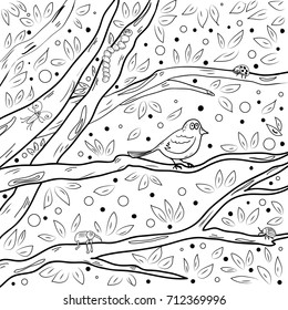 Insects and bird in branches of trees. Vector illustration. Black and white sample.Hand drawn page for coloring book. Doodle, Zentangle.  
