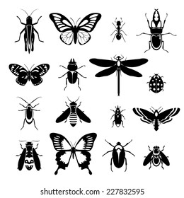 Insects black and white decorative icons set with grasshopper bug ladybug isolated vector illustration.