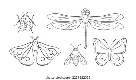 Inspira el conjunto de iconos planos en blanco y negro. Mariposa de dibujos animados, mariposa, libélula, polilla y abeja. Los insectos de los jardines al estilo de los lino. Entomología. Colección de bichos de contorno vectorial aislados en blanco.