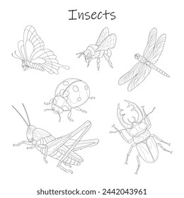 Insects. Black and white vector illustration. Seth. Sketch.