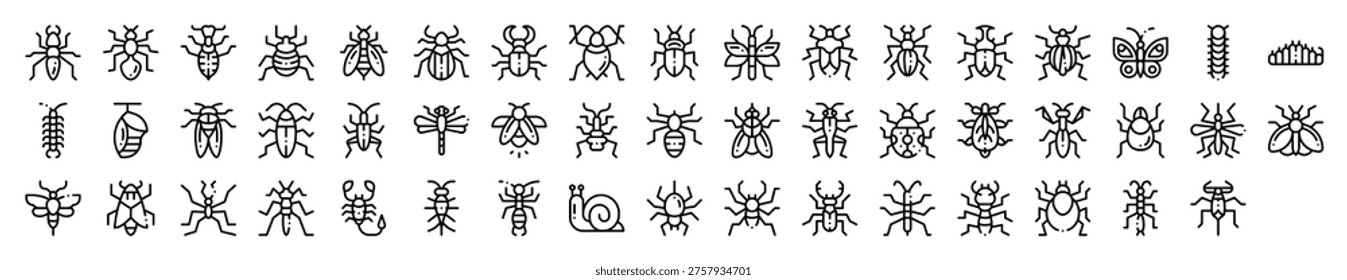 Insects Bugs Creepy Crawlies Icon Collection