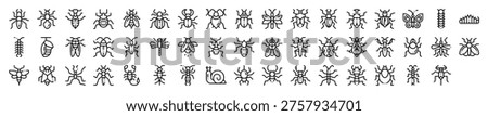 Insects Bugs Creepy Crawlies Icon Collection