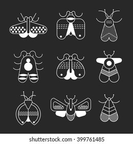 Insects and bugs icon set.