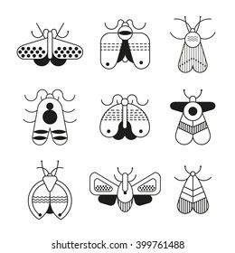 Insects and bugs icon set.