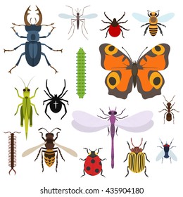 Insects and bugs, pests and midge set of icons from top view. Mosquito or gnat, bee or honeybee, caterpillar or worm, moth or butterfly, dragonfly and crest spider, grasshopper and wasp