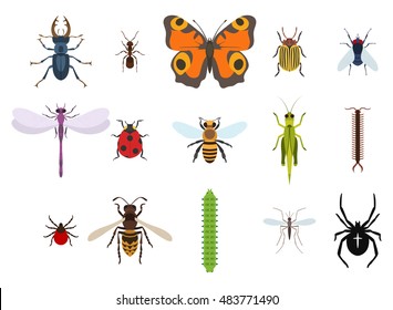 Insects and bugs, pests and midge set of icons from top view.