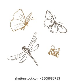 Insects butterflies, dragonfly and bumblebee. Line art is a simple hand-drawn illustration in beige, ochre, brown ink. Isolated vector EPS set of elements.