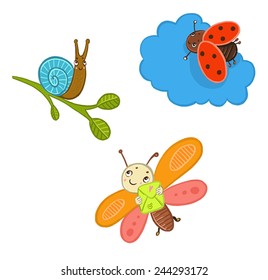 Insects: butterfly, ladybug, snail
