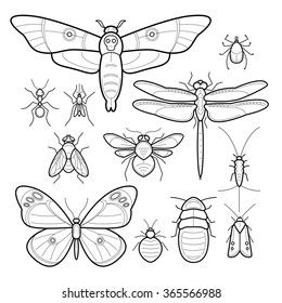 Insects butterfly, moth, dragonfly, bee, fly, moths, cockroaches, bedbugs, mites, ants, mosquitoes, silverfish. Set of vector images. Collection in modern style mono line. Black and white.