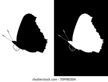 Insects of a butterfly, silhouettes on a dark and white background. Beautiful butterfly logo icon in black color. Insect flying isolated on white backdrop. Vector illustration.