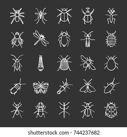 Insects chalk icons set. Bugs. Entomologist collection. Butterfly, earwig, stag bug, phasmid, moth, ant, mantis, spider. Isolated vector chalkboard illustrations