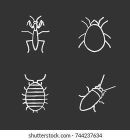 Insects Chalk Icons Set. Mantis, Cockroach, Woodlice, Mite. Isolated Vector Chalkboard Illustrations