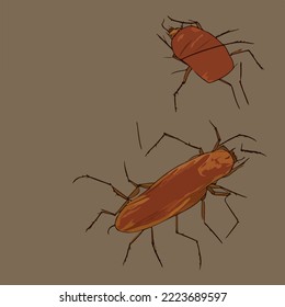 Insects, Cockroach Illustration Vector Cartoon Drawing