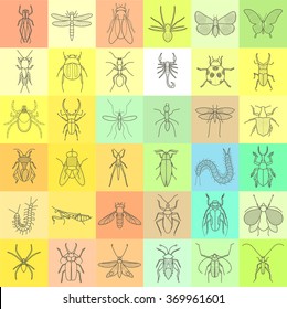 insects coleopteran collection kit. bugs and beetles outline contour vector set. cootie, louse, vermin, aphid, tick, bumblebee, hornet, 