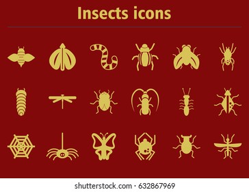 Insects Collection