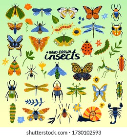 Colección de insectos de escarabajo, abeja, ladybug, mariposa y bichos caricaturista afiche para ilustración de vector de insectología. Gusano, oruga y saltamontes, mosca, libélula con araña, caracol, hormigas insectos.