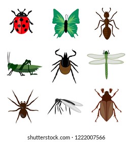 insects collection isolated