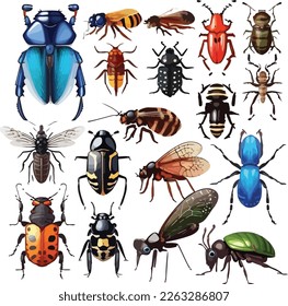 Insects collection isolated on white background