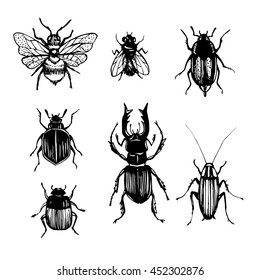 Insects collection kit. Bugs and beetles vector set