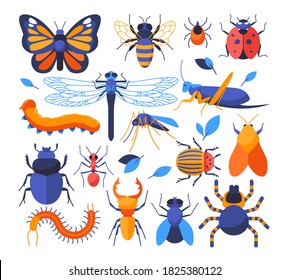 Insects collection - set of flat design style elements on white background. Colorful mages of ladybug, butterfly, ant, dragonfly, bee, grasshopper, caterpillar, scarab beetle, fly, mosquito and spider