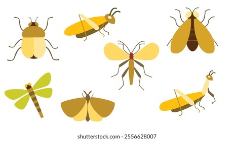 Insects collection. Vector of various types of insects isolated on white background