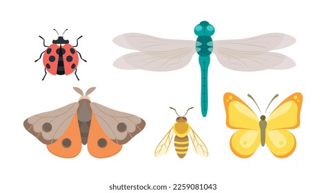 Inspira el conjunto de iconos planos de color. Mariposa de dibujos animados, mariposa, libélula, polilla y abeja. Los insectos del jardín. Entomología. Colección de bichos vectoriales lindos aislados en blanco.