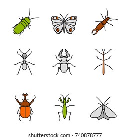 Insects color icons set. Darkling and hercules beetles, butterfly, earwig, stag bug, phasmid, moth, ant, mantis. Isolated vector illustrations