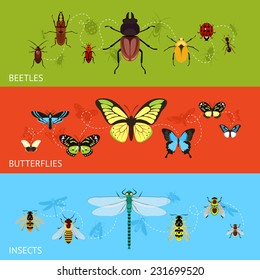 Insects colored decorative banner flat set with beetles and butterflies isolated vector illustration