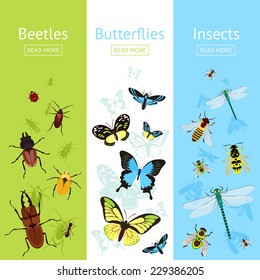 Insects colored decorative vertical banner flat set with beetles and butterflies isolated vector illustration