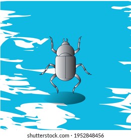 insects, common beetle. Gray. vector image with blue background