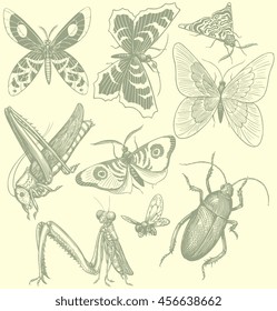 Insects. Design set. Hand drawn engraving. Vector vintage illustration. Isolated on color background. 8 EPS