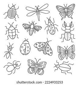 Insects doodle set. Bugs, butterfly, dragonfly, spider, dragonfly in sketch style. Hand drawn vector illustration isolated on white background