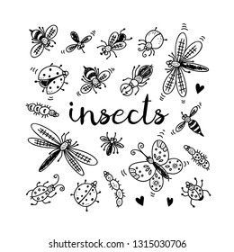 Insects doodle set, vector collection isolated on white background