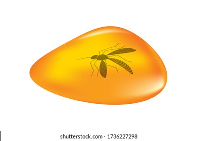  Insects in a drop of amber isolated on white background. Ancient amber midge inclusion. Piece of amber with a mosquito inside. Stone with a prehistoric insect. Fossilised tree resin. Stock vector