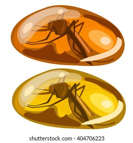 Insects in a drop of amber isolated on white background. Vector illustration.