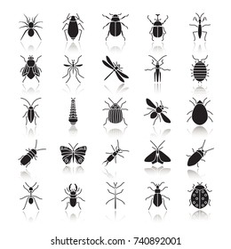 Insects drop shadow black glyph icons set. Bugs. Entomologist collection. Thin line contour symbols. Butterfly, earwig, stag bug, phasmid, moth, ant, mantis, spider. Isolated vector illustrations