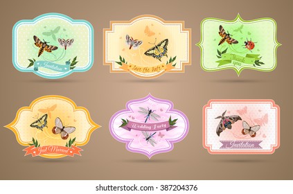Insects emblems set and invitation cards realistic isolated vector illustration 