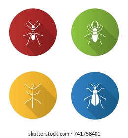 Insects flat design long shadow glyph icons set. Ant, stag beetle, ground bug, phasmid. Vector silhouette illustration