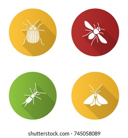 Insects flat design long shadow glyph icons set. Colorado beetle, honey bee, earwig, moth. Vector silhouette illustration