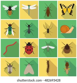 insects flat icon set . You can be used insects icon set for several purposes like: websites, UI, UX, print templates, promotional materials, info-graphics, web and mobile phone apps.