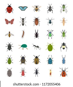 
Insects Flat Icons Pack 
